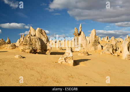 Blick auf die Pinnacles Desert in den Numbung National Park, Australien Stockfoto