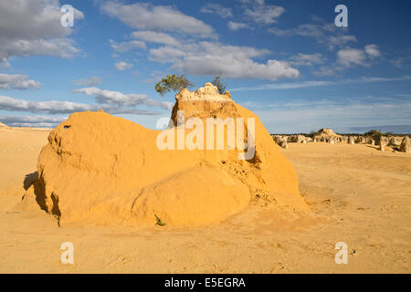 Blick auf die Pinnacles Desert in den Numbung National Park, Australien Stockfoto