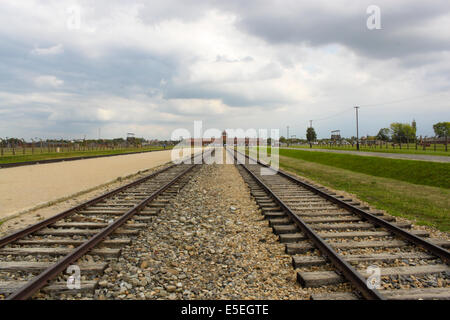 Schienen in Auschwitz-Birkenau, Polen Stockfoto