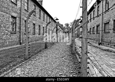 Auschwitz-Birkenau nationalsozialistischen Konzentrations- und Vernichtungslager Camp. Stockfoto