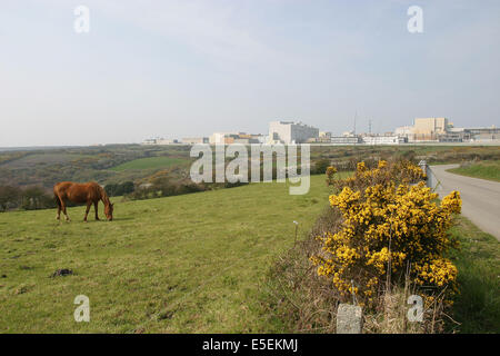 Frankreich, Basse Normandie, Manche, cotentin, Cap de la hague, Route, cheval, centrale de retraitement, areva, cogeme, beaumont hague, Usine, Nucleaire, atomique, Stockfoto