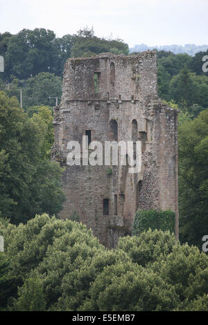 Frankreich, Basse Normandie, Calvados, bocage virois, vire, itineraire des Pelerins des chemins de Saint michel, depuis les hauteurs de la porte horloge, Donjon, Stockfoto