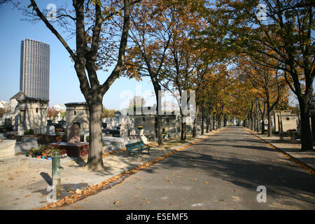 Frankreich, paris 14e, cimetiere du montparnasse, Abfahrten, Arbres, Tour montparnasse, Stockfoto