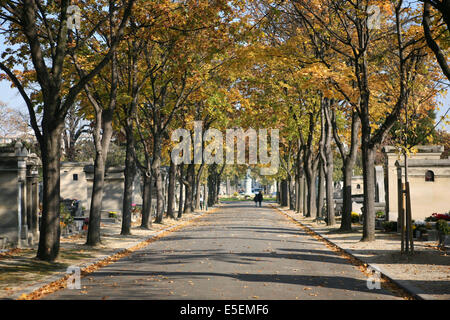 Frankreich, paris 14e, cimetiere du montparnasse, allee, Arbres, Automne, Abfahrten Stockfoto