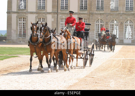 Frankreich, Normandie, orne, haras du Pin, les jeudis du haras, Presentation d'attelages, cheval de trait, Chateau, haras national, nonant le Pin, Stockfoto