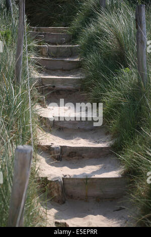 Frankreich, Bretagne, cotes d'Armour, cote d'emeraude, sables d'Or les Pins, la plage, Escaliers dans les Dünen, Sable, oyats, Stockfoto