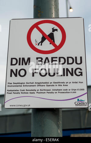 Walisischen Conwy Rat Umwelt Durchsetzung Zeichen für kein Hund fouling Stockfoto