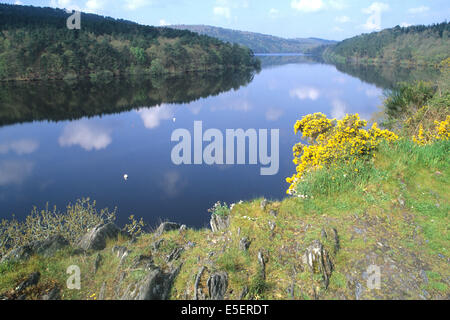 Frankreich, Bretagne, cotes d'Armour, lac de Guerledan, Plan d'eau amenage, rochers, Genets, Stockfoto