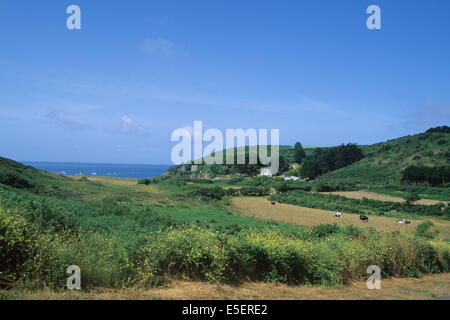 Frankreich, Bretagne, Finistere nord, cotes des Abers, Porsmoguer, Panorama, champs, vallons, mer, Stockfoto