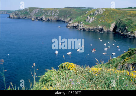 Frankreich, Bretagne, finistere Sud, Mütze sizun, cornouaille, pointe de Brezellec, anse, Petits bateaux, Vegetation, Stockfoto