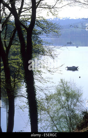 Frankreich, Bretagne, cotes d'Armour, lac de Guerledan, Plan d'eau amenage, rochers, bateau de plaisance, arbres Stockfoto