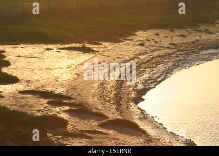 Frankreich, Basse Normandie, Manche, pays de la baie du Mont-Saint-Michel, le grouin du Sud, maree basse, soleil couchant sur la greve, Stockfoto