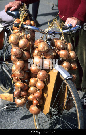 Frankreich, Bretagne, finistere nord, pays du leon, Roscoff, velo de 'Johnnie' Charge d'oignon, Tradition Roscovit, Stockfoto