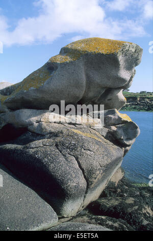 Frankreich, Bretagne, Finistere nord, cotes des abers, lanildut rocher du Crapaud, Stockfoto