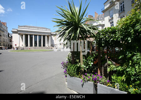 Frankreich, pays de loiré, loire-atlantique, Nantes, Centre ville Place graslin, Fassadenimäuble en hemicycle, la cigale, Brasserie Art nouveau, Terrasse fleurie, Theater, Stockfoto