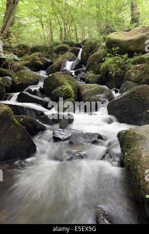 Frankreich, Basse Normandie, Calvados, pays d'accueil touristique du bocage virois, maisoncelles la jourdan, pont es retour, Cascades, eau vive, Stockfoto