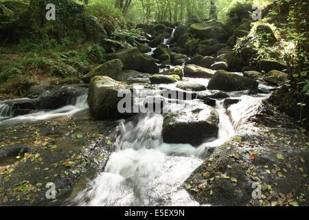 Frankreich, Basse Normandie, Calvados, pays d'accueil touristique du bocage virois, maisoncelles la jourdan, pont es retour, Cascades, eau vive, Stockfoto