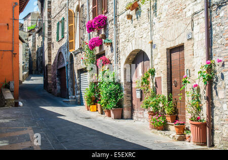 Italienischen typische Häuser. Steinhäuser und Blumen Stockfoto