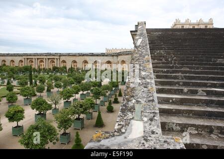 Frankreich, ile de france, yvelines, versailles, Schloss, Gärten, orangerie, Bäume, die hundert Treppen. Stockfoto