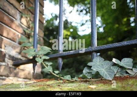 Frankreich, Ile de France, pariser 20e-Bezirk, Rue des balkans; Stockfoto