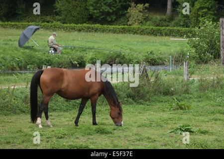 Frankreich, Basse Normandie, Calvados, pays d'accueil touristique du bocage virois, pont farcy, pecheur, cheval, Stockfoto