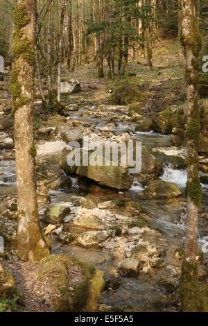 Frankreich, franche comte, jura, Menetrux en joux, Cascades du herisson, pays des lacs, eau, chutes, paysage, Natur, Stockfoto