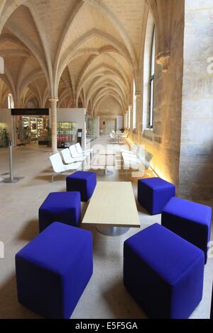 Frankreich, ile de france, pariser 5e-Viertel, rue de poissy, College des bernardins, Religion, architecte jm wilmotte, grande nef, Piliers, Voutes, Datum: 2011-2012 Stockfoto