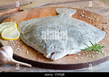 Turbot Fisch in der Küche auf Schneidebrett Stockfoto