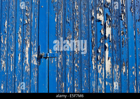 Hintergrundmuster und Textur von einer alten Holztür mit verwitterten blauen Farbe und Hasp und Grundnahrungsmittel Schloss Stockfoto