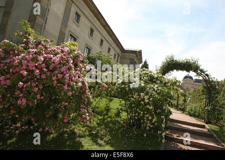 Frankreich, ile de france, pariser 5e-Viertel, jardin des plantes. Datum: 2011-2012 Stockfoto