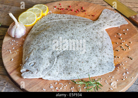 Turbot Fisch in der Küche auf Schneidebrett Stockfoto