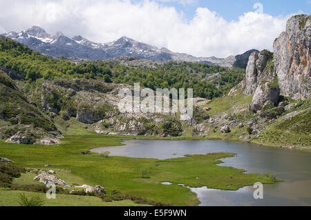 Lago De La Ercina, Nationalpark Picos de Europa, mit kantabrischen Gebirge im Hintergrund Asturien, Spanien Europa Stockfoto