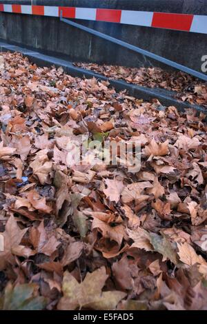 Frankreich, Region Île-de-France, Paris 7e arrondissement, Quai d'Orsay, feuilles mortes, automne, voie sur Berge, Stockfoto