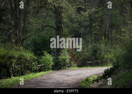 Frankreich, Region Ile de France, Hauts de seine, Ville d'Avray, 53 rue de Versailles, Etangs de Corot, auberge Cabassud, les Paillottes, Stockfoto