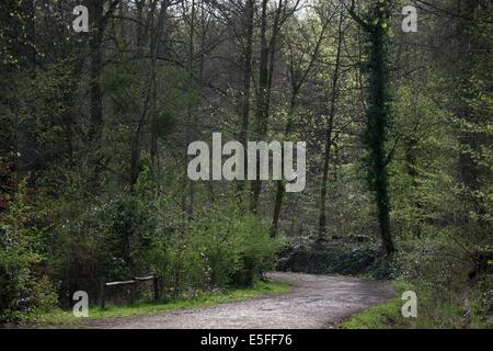 Frankreich, Region Ile de France, Hauts de seine, Ville d'Avray, 53 rue de Versailles, Etangs de Corot, auberge Cabassud, les Paillottes, Stockfoto