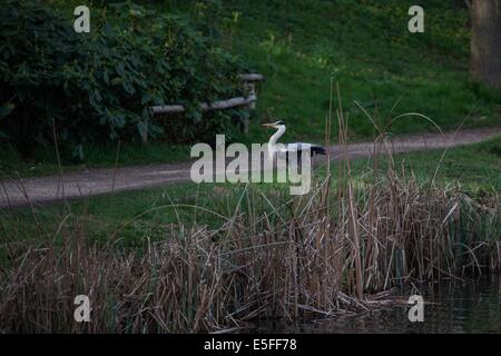 Frankreich, Region Ile de France, Hauts de seine, Ville d'Avray, 53 rue de Versailles, Etangs de Corot, auberge Cabassud, les Paillottes, Stockfoto