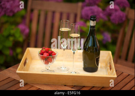 Tablett mit Champagner und Erdbeeren im Garten Stockfoto