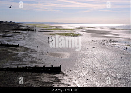 Hund Spaziergänger genießen die Ebbe am Strand von Worthing heute Morgen, als der heiße Sommer Wetter weiter entlang der Südküste UK Stockfoto