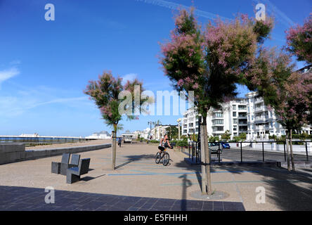 Worthing, Sussex, UK. Juli 2014. Ein Radfahrer an Splash Punkt auf Worthing Meer setzte heute Morgen, als das heiße Sommerwetter entlang der Südküste Stockfoto