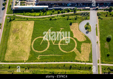 Luftaufnahme, Öko-Zentrum NRW mit einem big-Bike gemäht in ein Feld, Hamm, Ruhr District, North Rhine-Westphalia, Deutschland Stockfoto