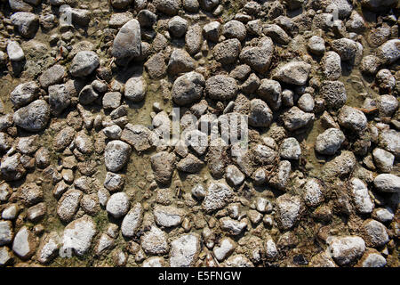 Nahaufnahme der nassen Stein-Struktur am See Stockfoto