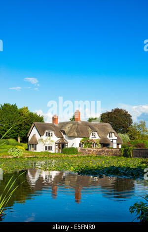 Eine strohgedeckte Hütte spiegelt sich in einem Teich am Dachs, Shropshire, England Stockfoto