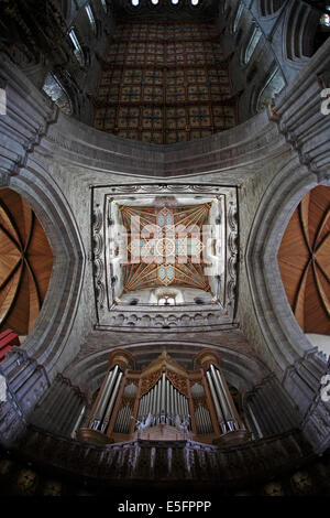 Dach oder an der Decke unter dem Turm an der St. Davids Kathedrale West Wales UK Stockfoto