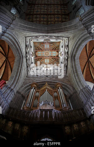 Dach oder an der Decke unter dem Turm an der St. Davids Kathedrale West Wales UK Stockfoto