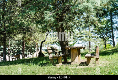 Hölzerne Bänke und ein Tisch im Wald. Stockfoto