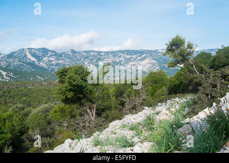 Trekking Trail nach Cala Mariolu, Baunei, Sardinien, Italien Stockfoto