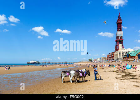 Eselreiten am Strand mit Blick auf North Pier und Blackpool Tower, The Golden Mile, Blackpool, Lancashire, UK Stockfoto