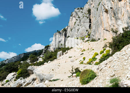 Straße entlang der Küste in Baunei, Sardinien, Italien Stockfoto