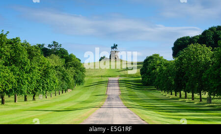 Windsor Great Park Stockfoto