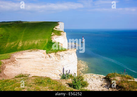 Beachy Head. Mit Blick auf die Klippen und der Leuchtturm aus dem Westen in der Nähe von Birling Gap. Stockfoto